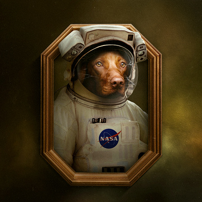 Humandog animal artwork astronaut composing digital imaging dog dog lover graphic design human illustration job manipulating photoshop