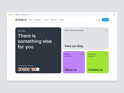 Riddle UI Web Design system (v1.0) dark mode dashboard design system figma hero section landing page minimal product design ui ui design ui kit user interface ux ux design