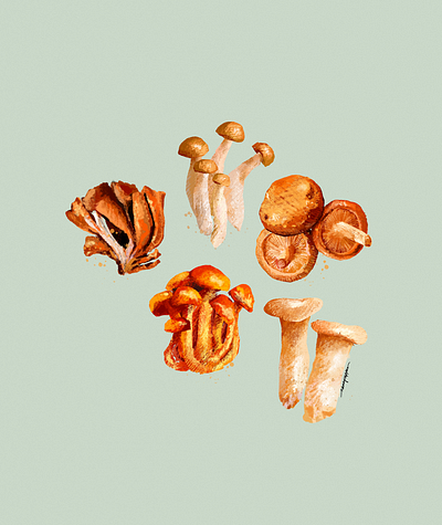 Mushrooms digital art digital illustration food food art food illustration illustration illustrator menu design mushroom mushrooms nkpcreate restaurant design