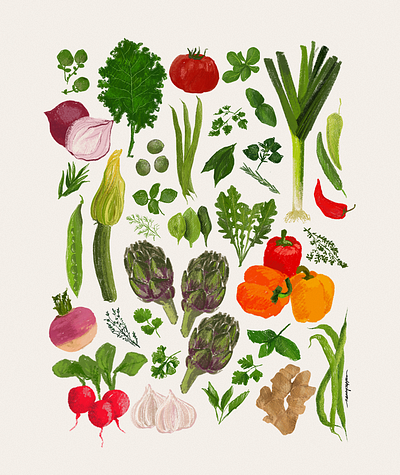 Farmers Market digital art digital illustration farmers market food food art food illustration fresh food illustration illustrator nkpcreate produce restaurant design