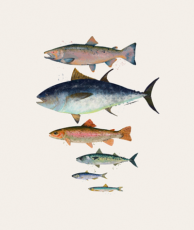 Fisherman's Catch digital art digital illustration fish fisherman fishing fishmonger food food art food illustration illustration illustrator nkpcreate restaurant design seafood