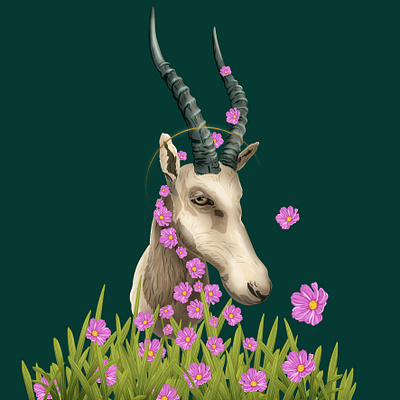 Blesbok Illustration antelope botanical digital art floral graphic design illustration nature
