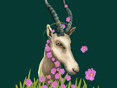 Blesbok Illustration antelope botanical digital art floral graphic design illustration nature