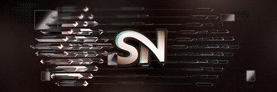 SN branding design graphics illustration logo