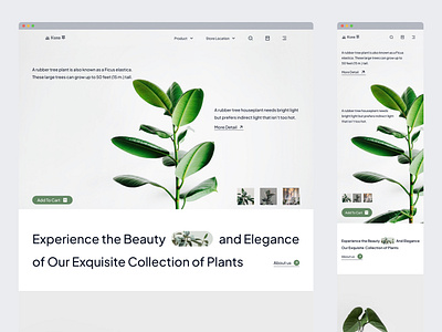 Exploration - Header Kusa 草 branding clean design garden graphic design green header herbal landing page plant ui ux website