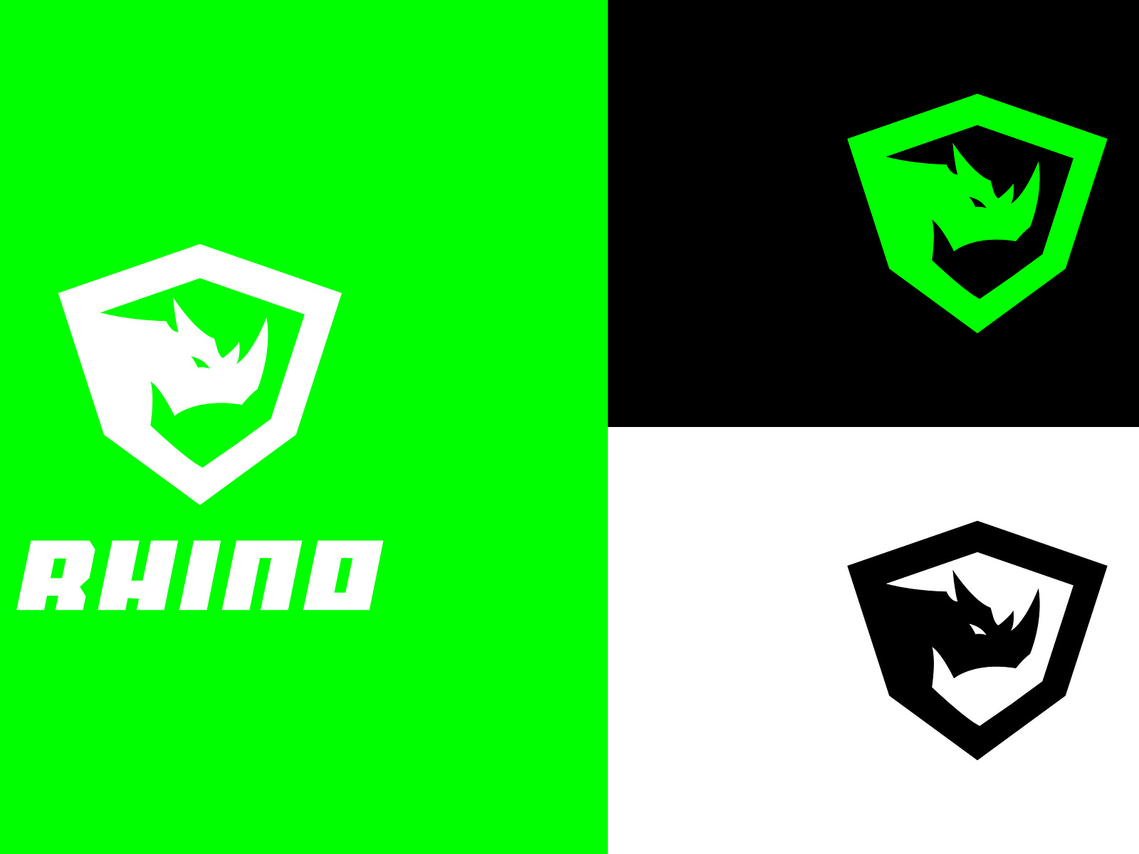 Rhino Gym and Fitness Club Logo by Shahzar Zahid on Dribbble