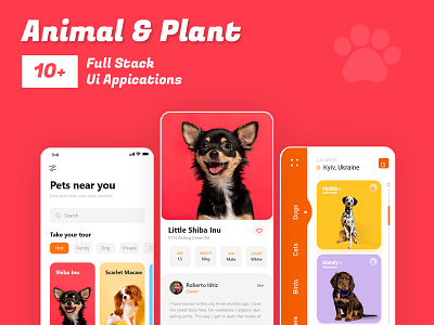 Pet Adoption App branding design graphic design minimal pet adoption app design pet app