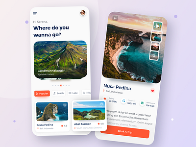 Travel Mobile App | UI Design design graphic design mobile app shot app ui