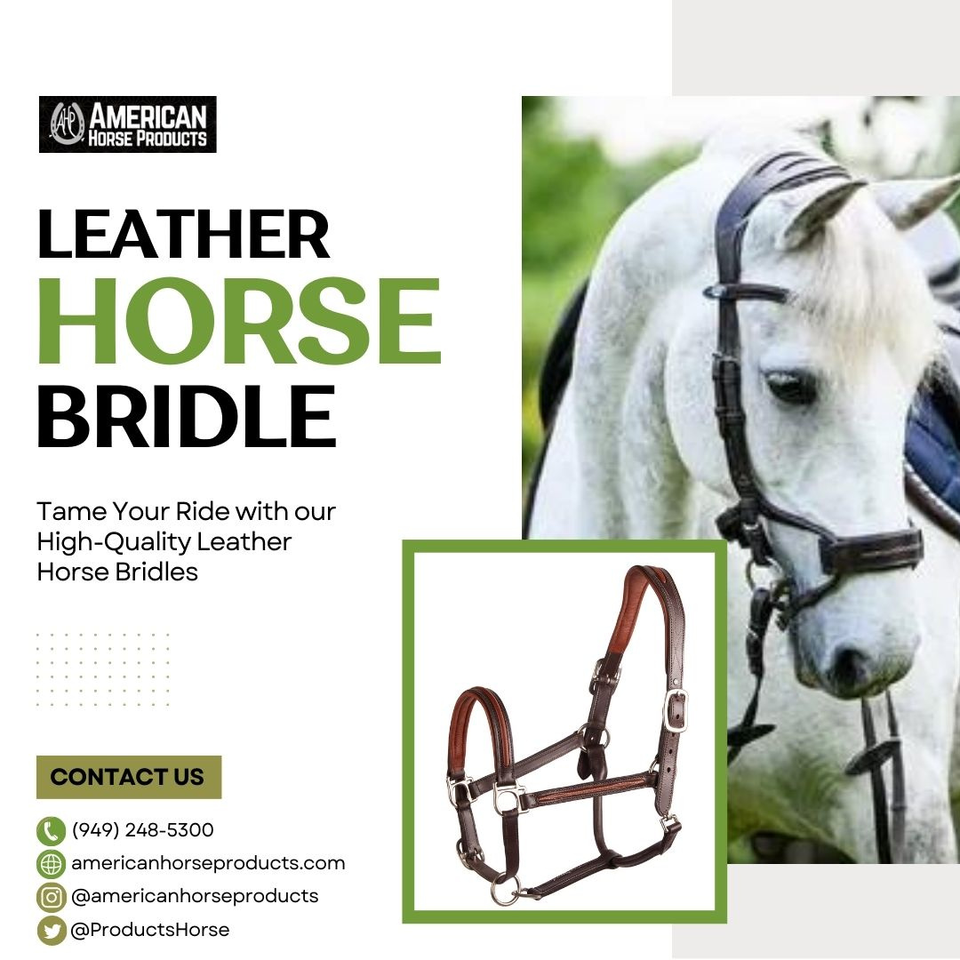 Leather Horse Bridle in San Juan Capistrano by Jim Carter on Dribbble