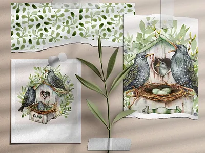 Starling bird family, watercolor clipart and digital paper nest wedding