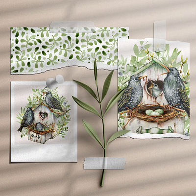 Starling bird family, watercolor clipart and digital paper nest wedding