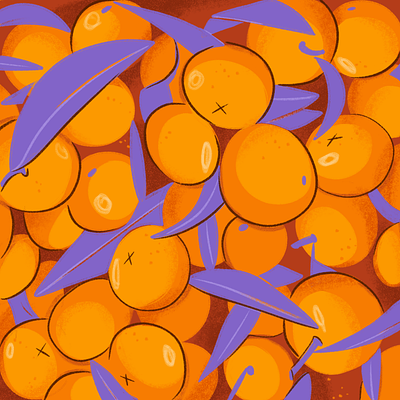 Tangerine basket citrus dribbble fruits illustration orange pattern procreate tangerines vitamin