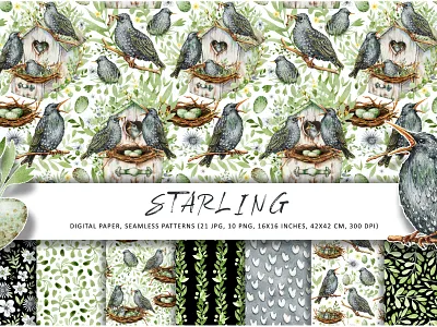 Starling family, digital paper set feathered