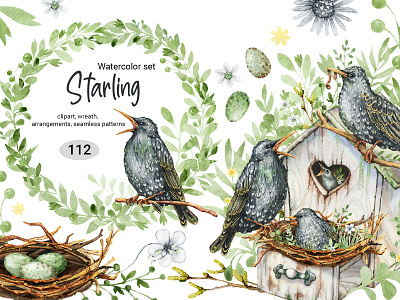 Starling family, watercolor clipart animals bird birdhouse digital paper egg family feathered female greenery hand drawn male nest seamless pattern spring starling summer watercolor wreath