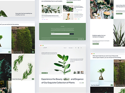 Exploration Website - Kusa 草 branding clean design farm fresh garden graphic design green herbal herbs landing page plant ui ux website