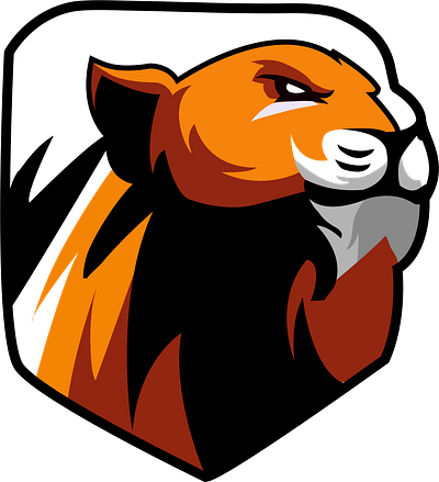 Логотип Тигр