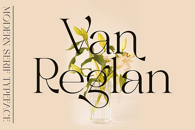Van Reglan Font calligraphy display display font font font family fonts hand lettering handlettering lettering logo sans serif sans serif font sans serif typeface script serif serif font type typedesign typeface typography