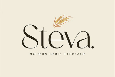 Steva Font calligraphy display display font font font family fonts hand lettering handlettering lettering logo sans serif sans serif font sans serif typeface script serif serif font type typedesign typeface typography