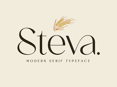 Steva Font calligraphy display display font font font family fonts hand lettering handlettering lettering logo sans serif sans serif font sans serif typeface script serif serif font type typedesign typeface typography