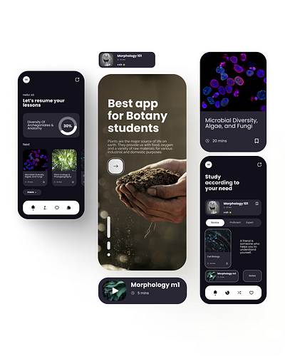 Botany App Designs botany educational graphic design ui vegan