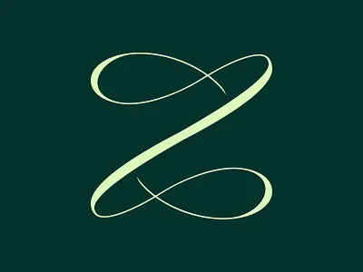 Playful letter Z branding creative graphicdesign icon letter z lettering letters logo logodesign typography