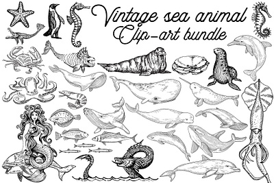 Vintage Sea Creature Clipart bundle illustration decoupage illustration marine life scrapbooking space animal clipart underwater animal underwater life vector graphic