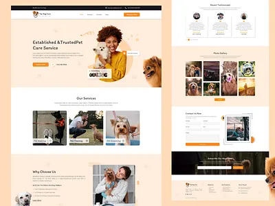 Top dog care app design hero area design landing page design landing page ui ui ux design ui design website