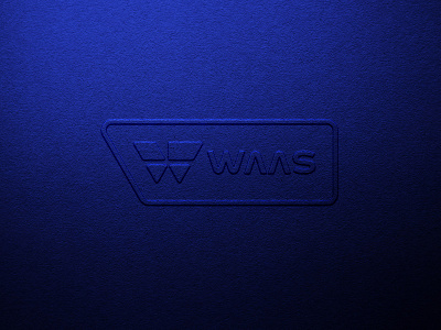 Waas | Logo / Visual Identity branding creaziz design digital identity logo monogram rebrand redesign sap solutions waas
