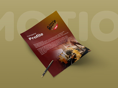 Company Profile Design brand identity branding company profile design graphic design pamflet
