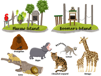 Zoo Animal Illustrations animals branding gibbon giraffe hippo illo illustration island lemur leopard lion macaw orangutan procreate zoo