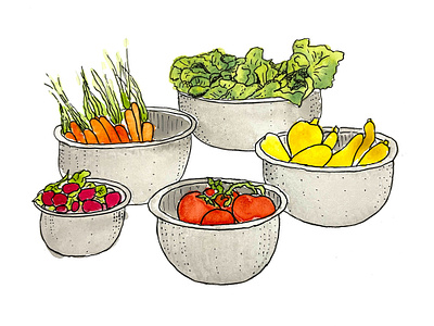 Fresh veggies black pen food illustration illustration watercolor