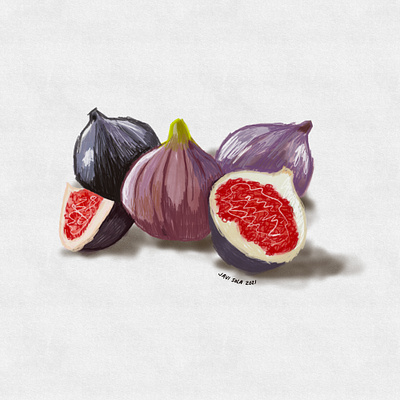 Figs colored pencils digital illustration food illustration illustration