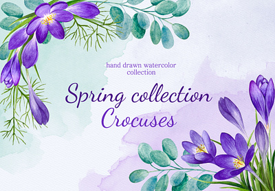 Spring collection crocuses branding design graphic design illustration logo post cards ui vector watercolor