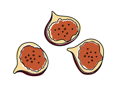 Three figs design fig figs fruits graphic design illustration line style minimalistic vector