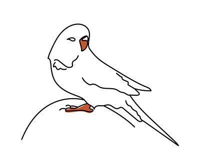 Parrot line style bird design graphic design illustration line style minimalistic parrot vector