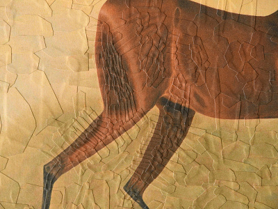 After Nikolai Sverchkov, detail collage detail horse illustration studio