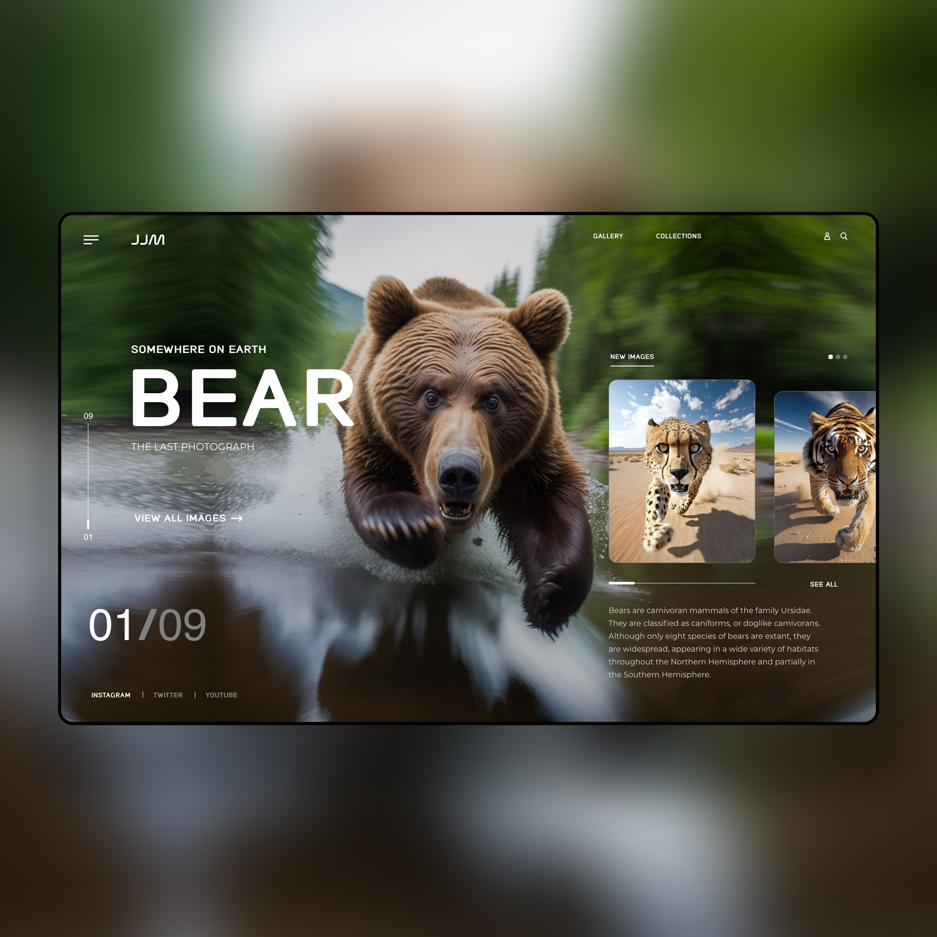 Somewhere On Earth Web Ui Design Concept action shot ai artificial intelligence design graphic design illustration interface logo nft photography ui ui design ux ux design web design wildlife