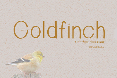 Goldfinch - Handwriting Font