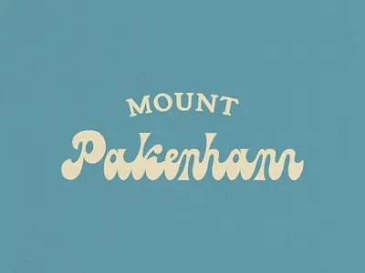 VINTAGE MOUNT PAKENHAM LOGO LETTERING branding font lettering logo ski resort skiing snow snowboard vector vintage