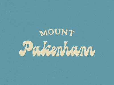 VINTAGE MOUNT PAKENHAM LOGO LETTERING branding font lettering logo ski resort skiing snow snowboard vector vintage