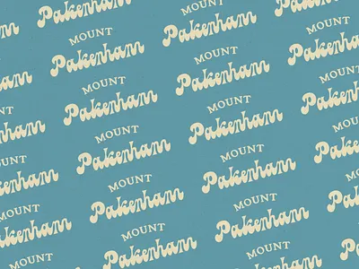 VINTAGE SKI RESORT LOGO LETTERING branding font illustration lettering logo ski resort skiing snow snowboard vector