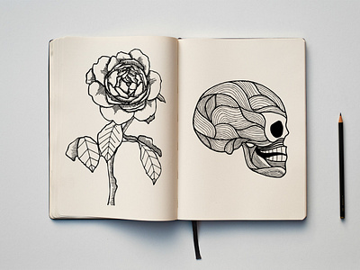 Sketchbook #1 hand drawn illustration line art rose skull