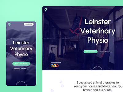 Leinster Vet Physio Website design figma responsive ui ux vet veterinary web web design