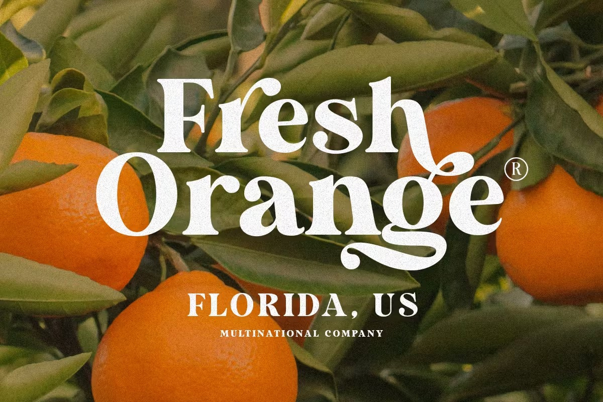 Duke Charming - A Unique Bold Serif Font calligraphy display display font font font family fonts hand lettering handlettering lettering logo sans serif sans serif font sans serif typeface script serif serif font type typedesign typeface typography