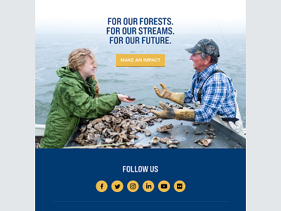 Alliance for the Chesapeake Bay Email Newsletter branding design email email marketing graphic design mailchimp newsletter ui ux web design