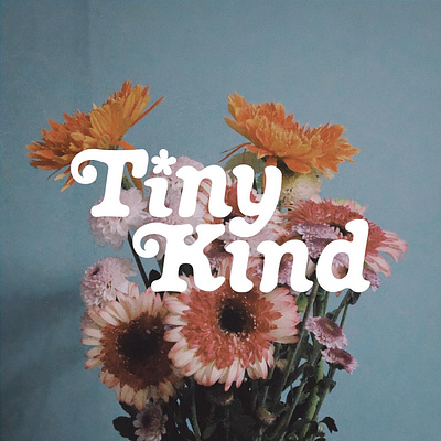 Tiny Kind branding design graphic design illustration logo typography