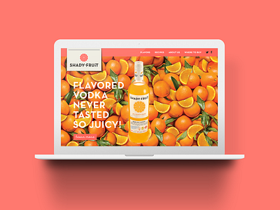 Shady Fruit design graphic design ux uxui web design website design
