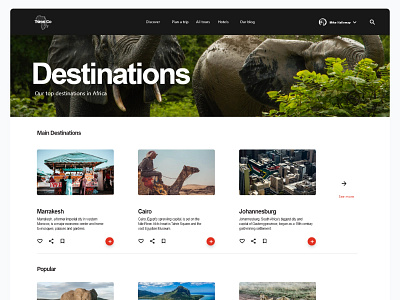 Unique Travel websites banner branding graphic design landing page minimal travel website ui uiux