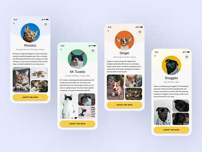 Daily UI 006 - Profile daily daily ui 006 dailyui dailyui006 design pets profile page ui user experience user interface user profile ux