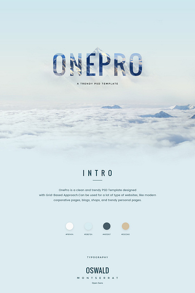 ONEPRO design product design ui ux website